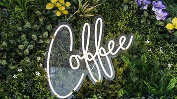 Ein Schild mit dem Wort 'Coffee', umgeben von üppigem Grün und verschiedenen Pflanzen.