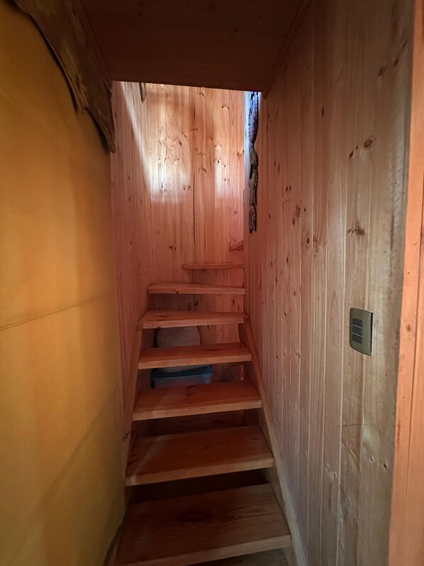 A wooden staircase with a handrail, leading to a higher level.