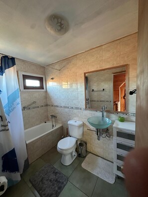 Hair dryer, towels, soap, toilet paper