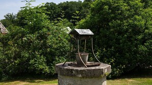 Een stenen waterput met een metalen emmer en een houten constructie bovenop, omgeven door groen.