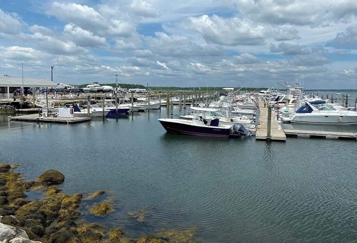 A marina with boats docked at piers, calm water, and a clear sky.