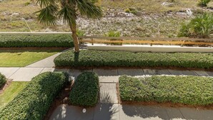 A landscaped area with a paved walkway, trimmed hedges, and a palm tree. - Phoenix Vii 7102 1 Bedroom Condo (Orange Beach)