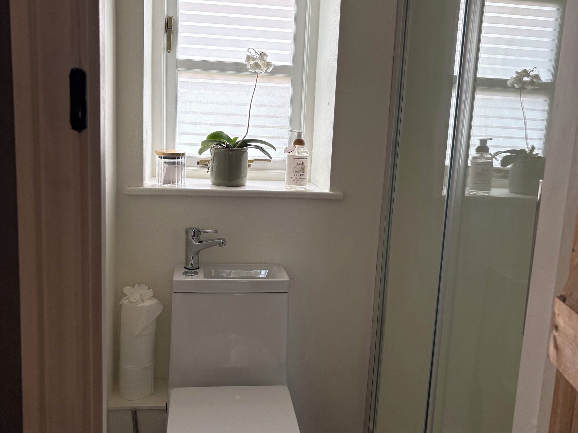 A bathroom with a toilet, sink, and window with a plant.