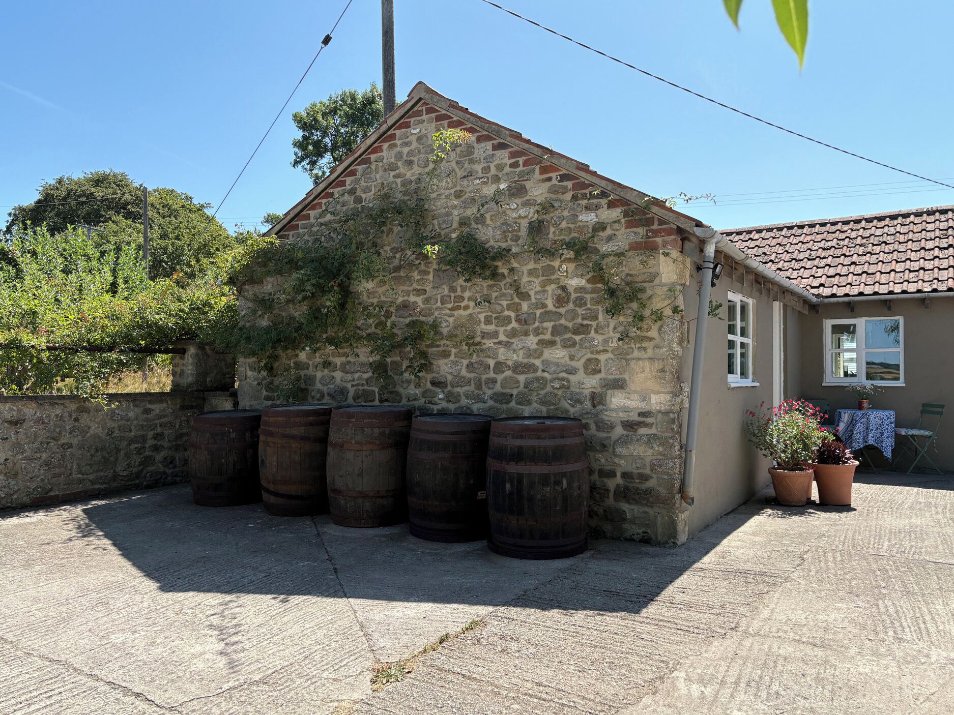 Cottage | Property grounds