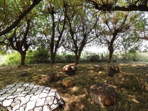 A natural outdoor setting with trees, a grassy area, and a round stone table.