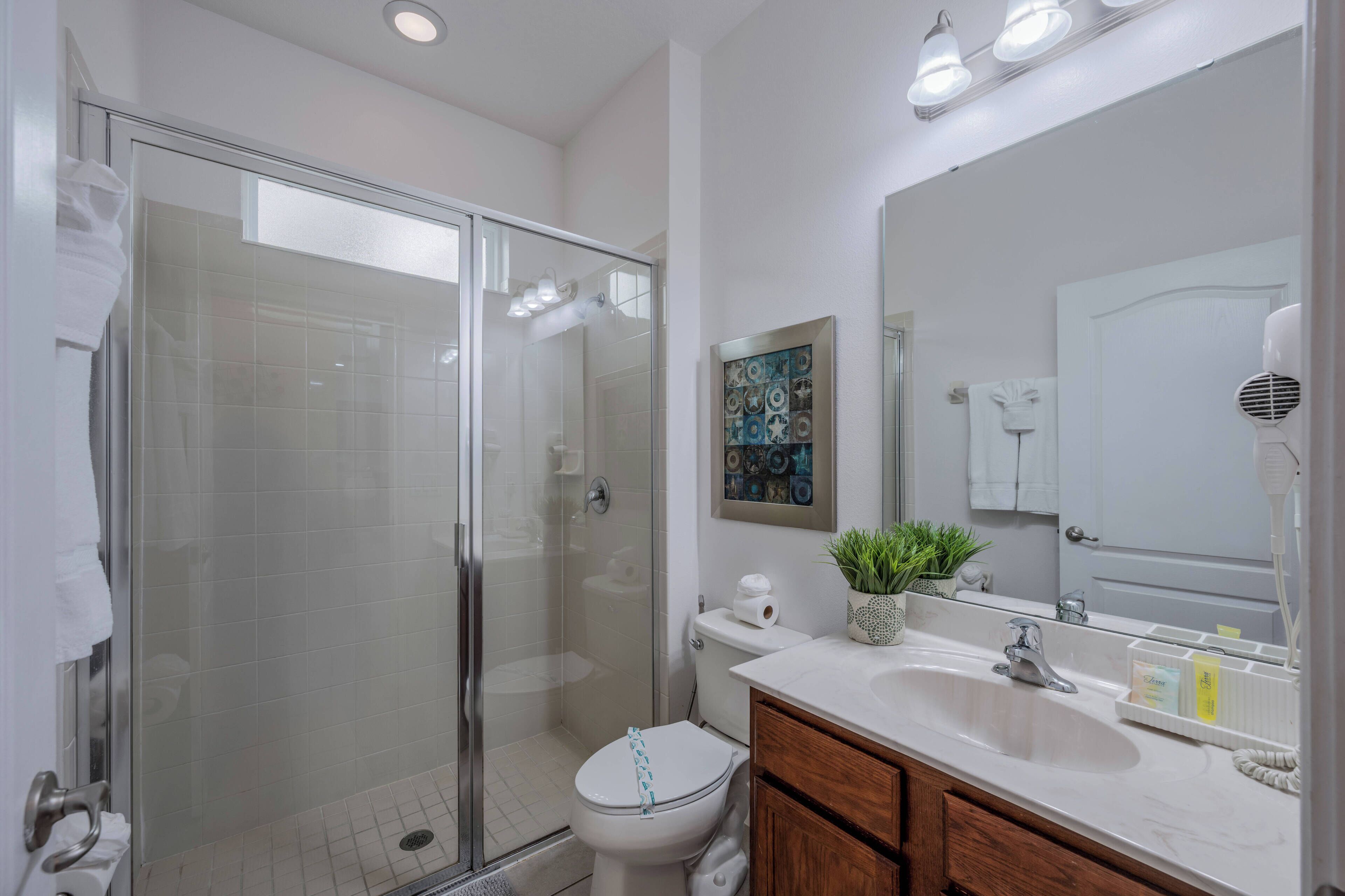A modern bathroom with a glass shower enclosure, a white toilet, a sink with a mirror, and a potted plant.