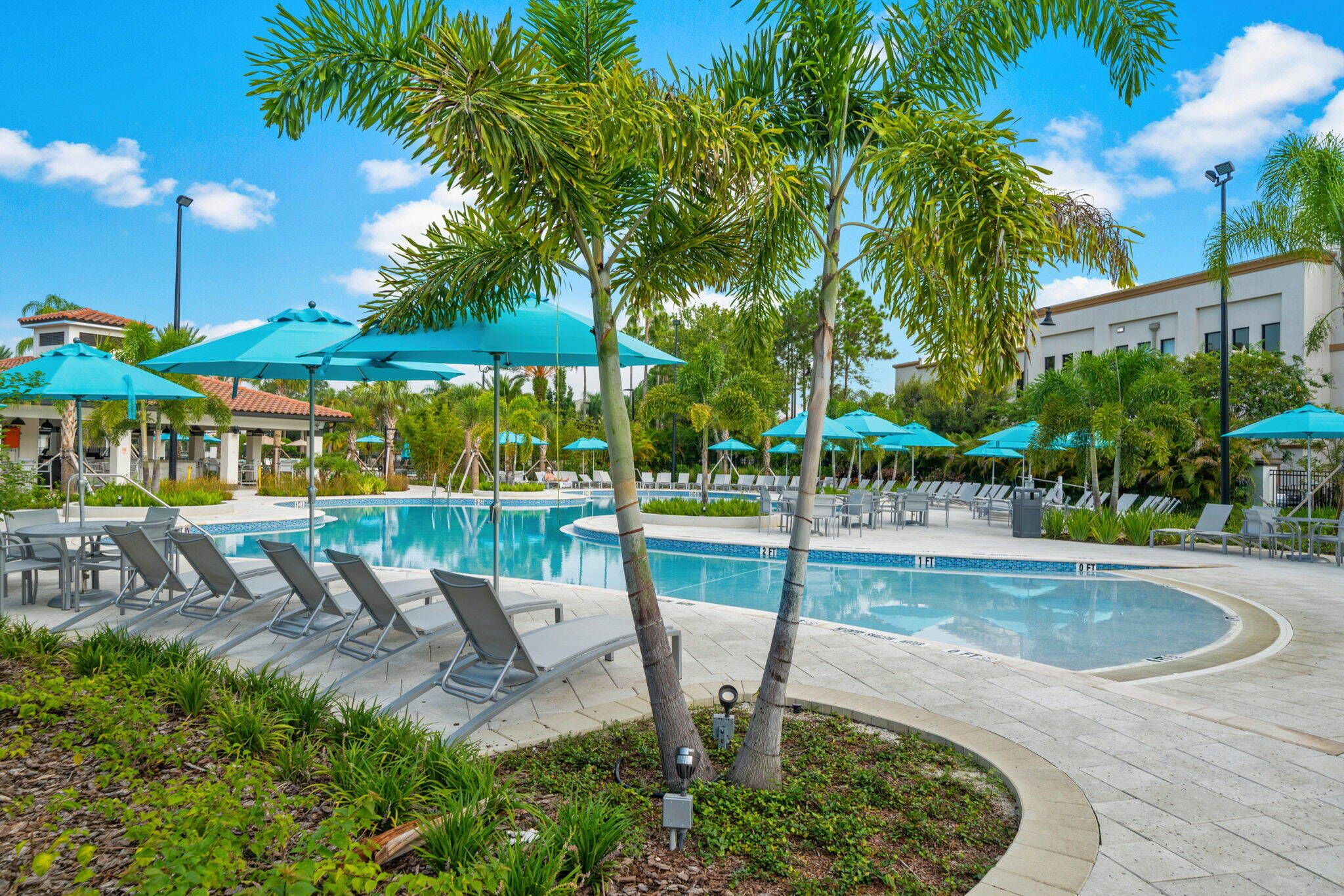 A pool area with lounge chairs and umbrellas, surrounded by palm trees and a building in the background.