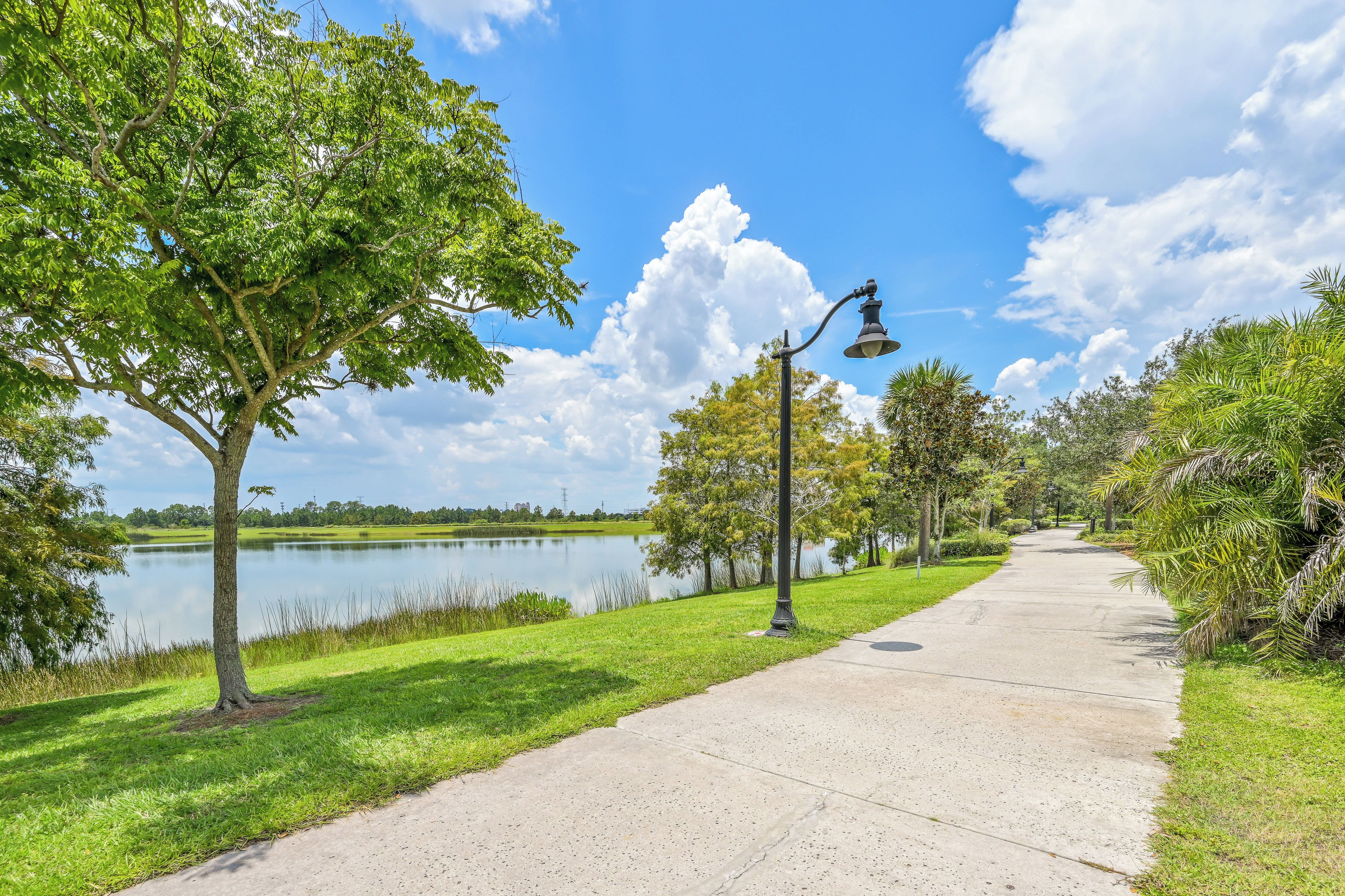 A paved pathway alongside a lake with trees and street lamps.