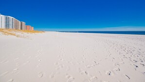 Beach - Phoenix Vii 7211 1 Bedroom Condo (Orange Beach)