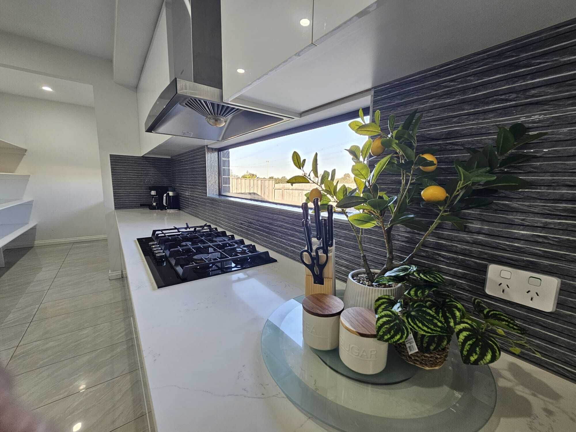 A modern kitchen with a gas stove, a window with a view, and potted plants.