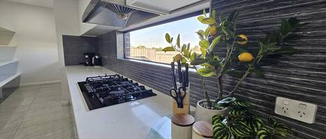 A modern kitchen with a gas stove, a window with a view, and potted plants.