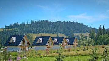 Resortwoning, 2 slaapkamers, uitzicht op bergen | Geluiddichte muren, een strijkplank/strijkijzer, gratis wifi, beddengoed