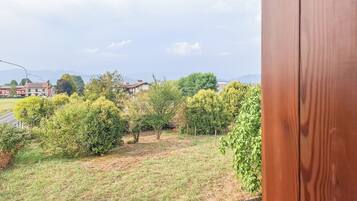 Vista de una zona residencial con casas, árboles y una calle.