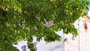 A covered outdoor seating area with a bench and a clock, surrounded by trees and a building with a brick facade. -  grande propriété close (Polisot)