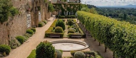 Un jardí formal amb una zona circular central, talls de setge ben definits i un viñedo al fons.