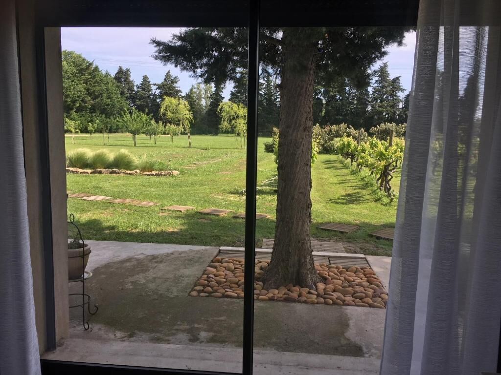 Blick durch ein Fenster auf einen Baum und einen Garten.