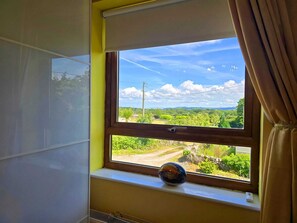 Ventana con vistas a una carretera y vegetación, un pequeño objeto decorativo en el alféizar, y una cortina entreabierta.
