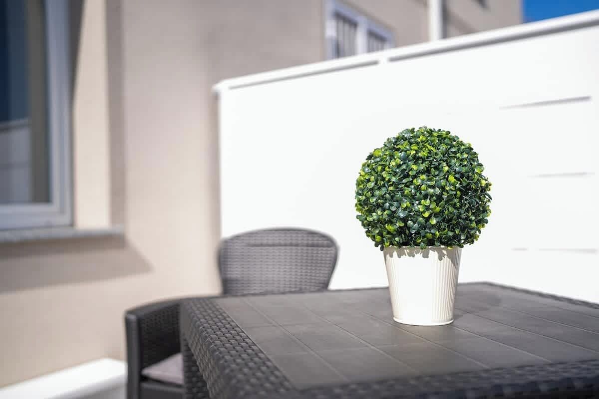 Une plante en pot, placée sur une table à l’extérieur d’un bâtiment.