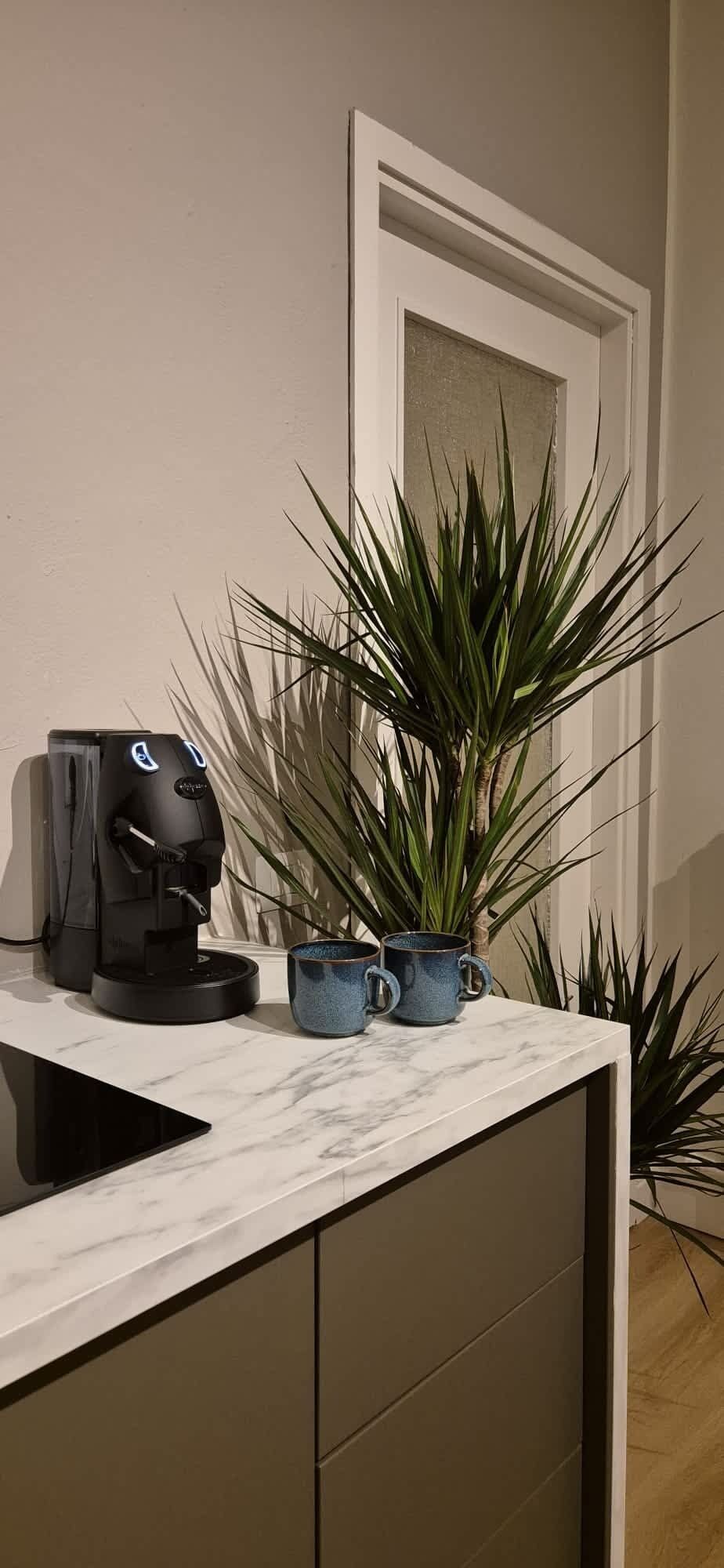 Eine Kaffeemaschine, zwei Tassen und ein Blumentopf auf einer Arbeitsplatte.