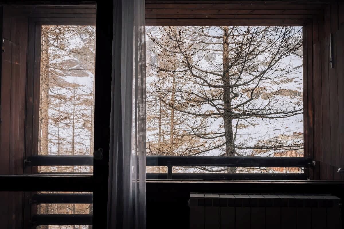 A window with a view of bare trees and a building in the background.