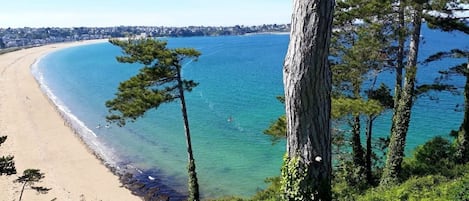 A coastal landscape with a sandy beach, clear blue water, and a line of trees.