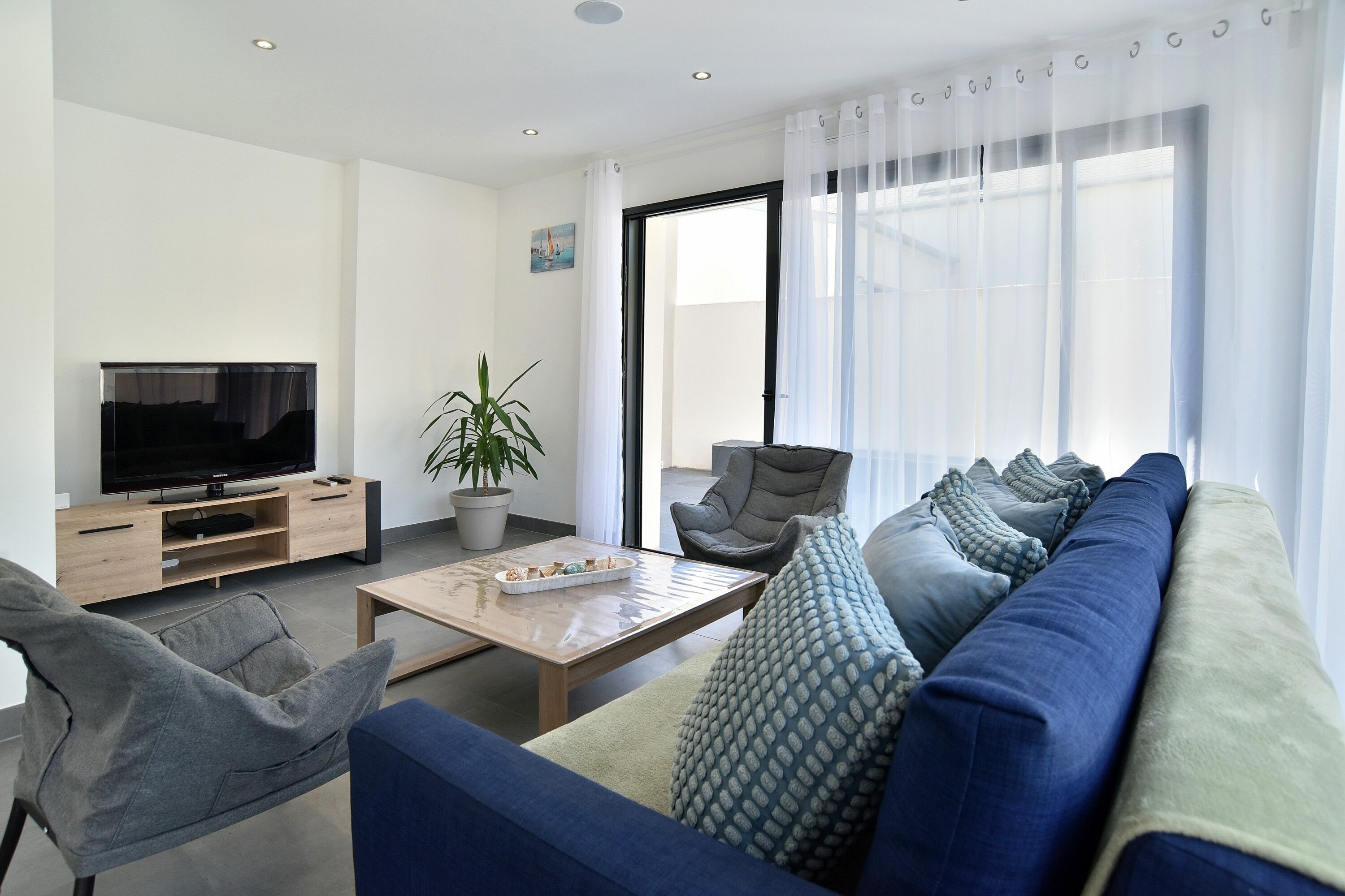 A modern living room with a flat-screen TV, a sofa, a coffee table, and a potted plant.