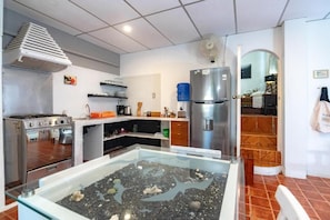 Comfort Apartment, Garden View | Private kitchen - La k-leta boutique guest house (Puerto Ayora)
