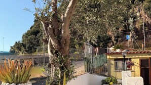 A paved outdoor area with a large tree, potted plants, and a building with a balcony. - CASA al centro di Lacco Ameno: a piedi alle terme Negombo, mare e ristoranti (Lacco Ameno)