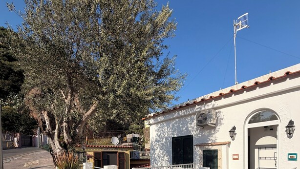 A building with a white facade, a red entrance, and a large tree in front. - CASA al centro di Lacco Ameno: a piedi alle terme Negombo, mare e ristoranti (Lacco Ameno)