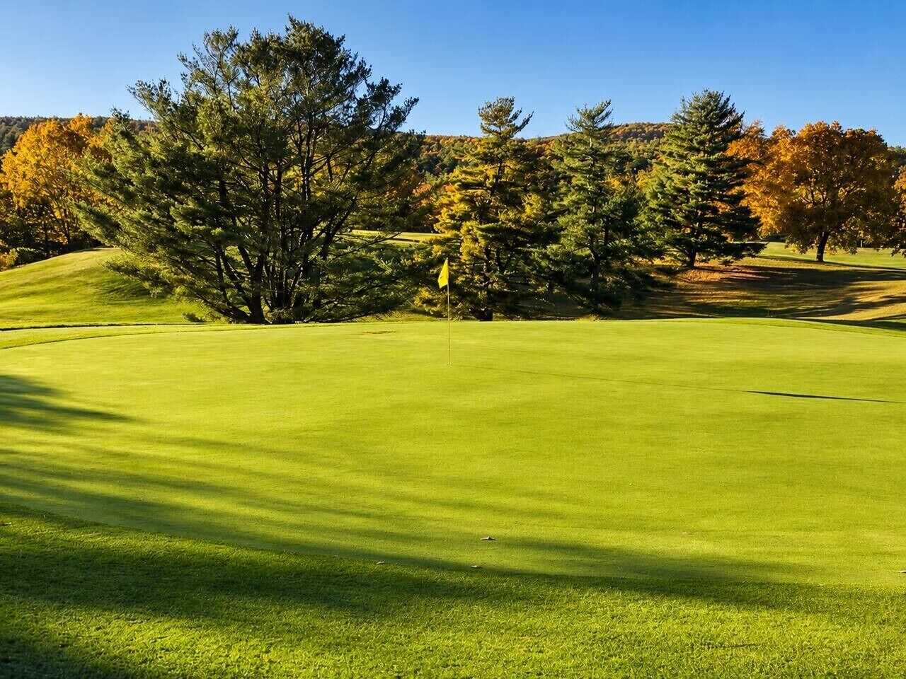 Un campo de golf con una bandera, árboles y un cielo despejado.