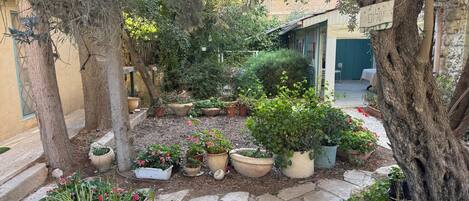 A courtyard with potted plants, a stone pathway, and a building with a balcony.