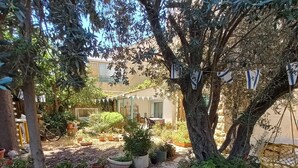 Ein Garten mit einem Kiesweg, Pflanzkübeln und einem Gebäude im Hintergrund.
