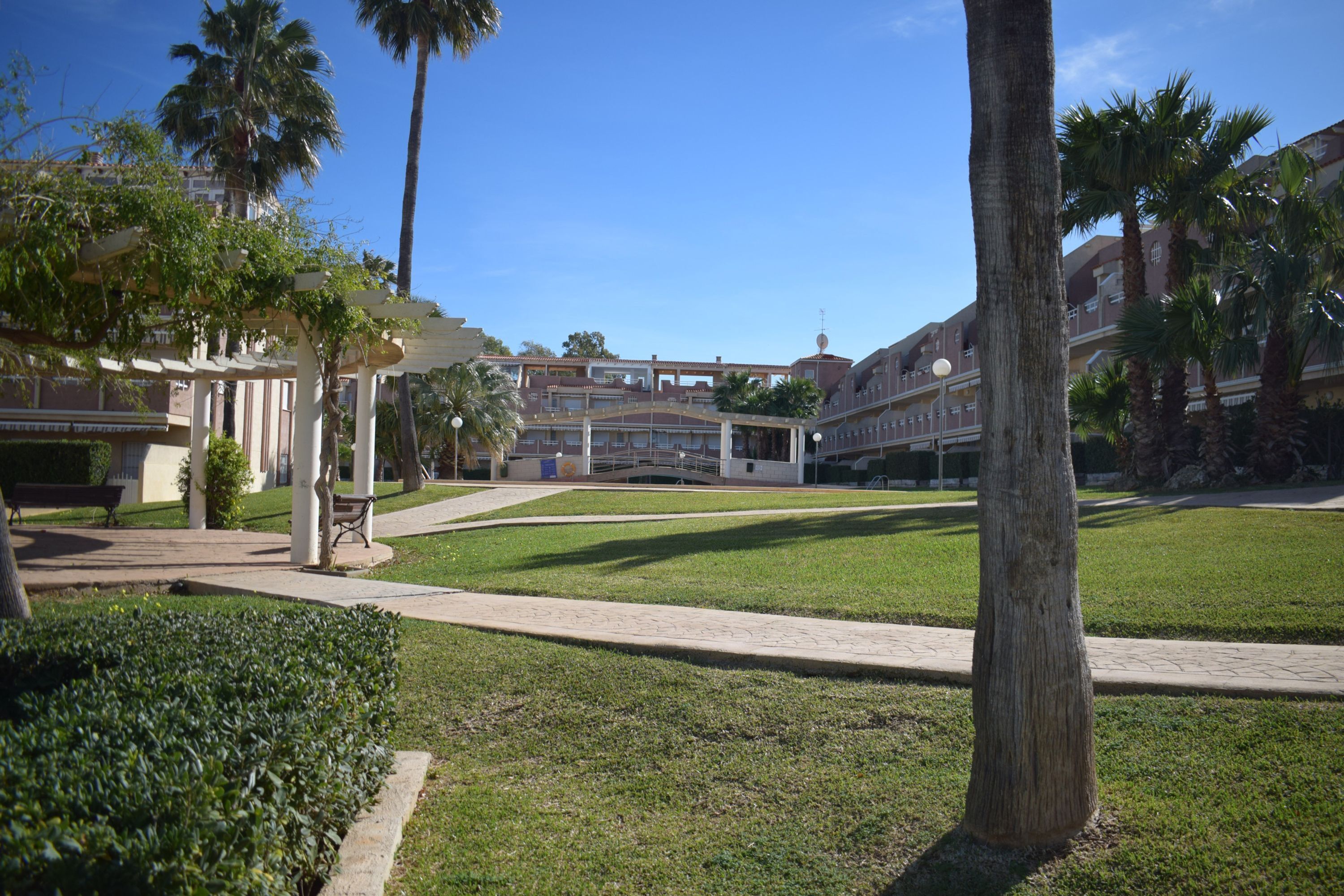 A courtyard with a pergola, palm trees, and a building with multiple balconies.