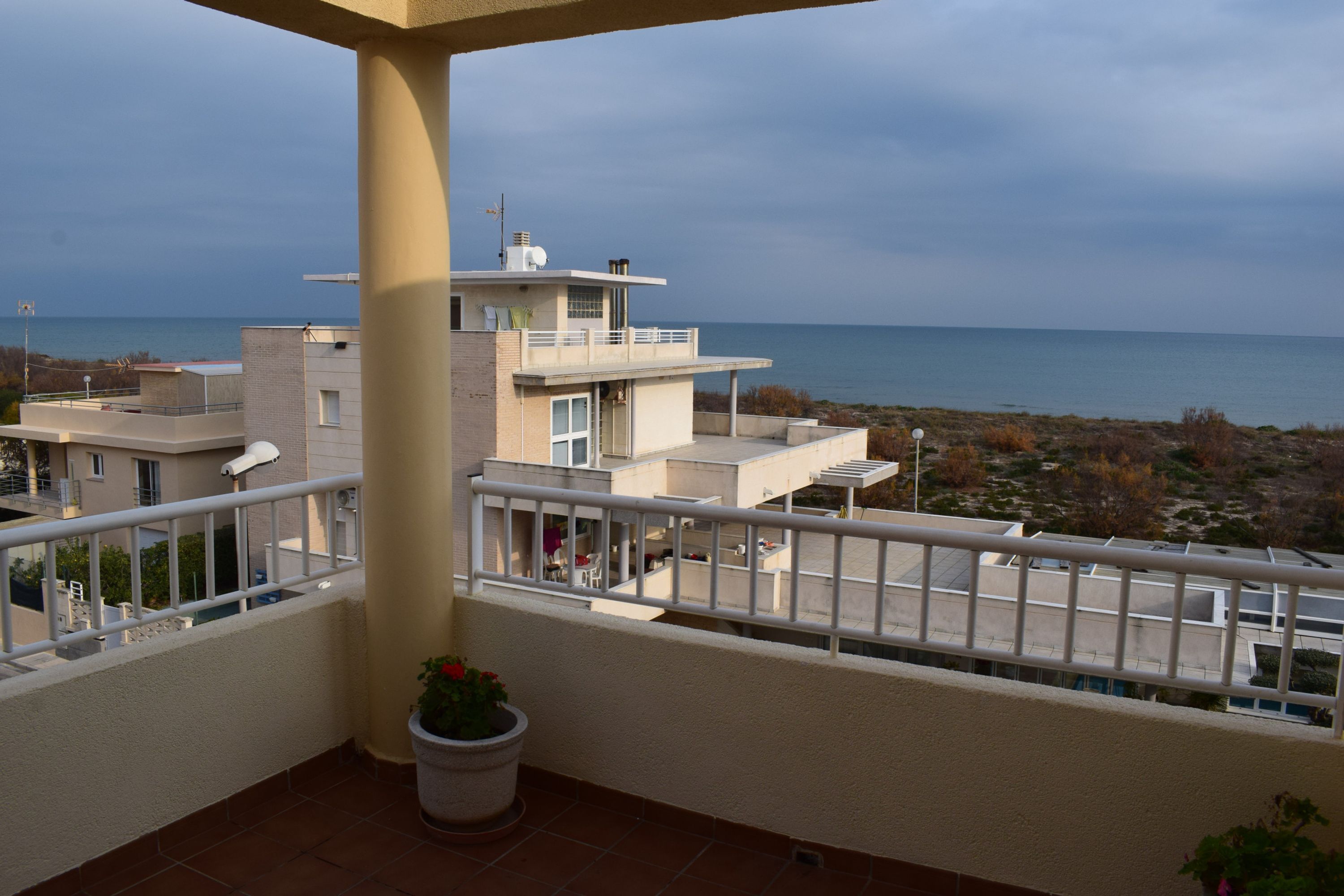 Un balcón con vista al mar, una planta en maceta y un edificio de varios pisos.