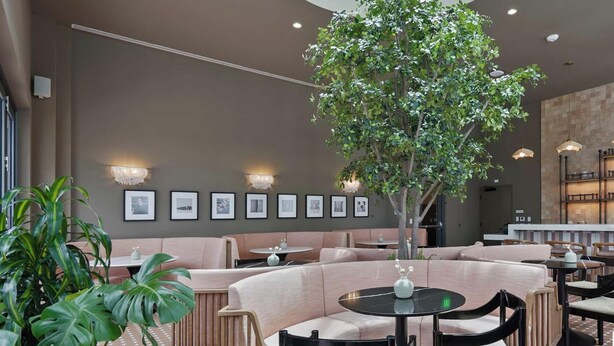 A modern interior with a seating area, a central tree, and framed pictures on the wall. - Downtown Studio with Pool, Gym & Movie Theater (Miami)