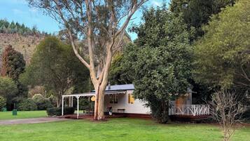 A house with a covered porch, surrounded by a well-maintained lawn and various trees.