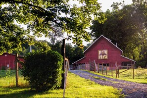 Ein rotes Bauernhaus mit einem auffälligen, geometrischen Logo an der Seite, umgeben von üppigem Grün und einem Kiesweg, der dorthin führt.