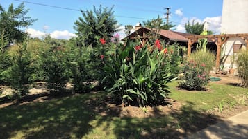 Jardín