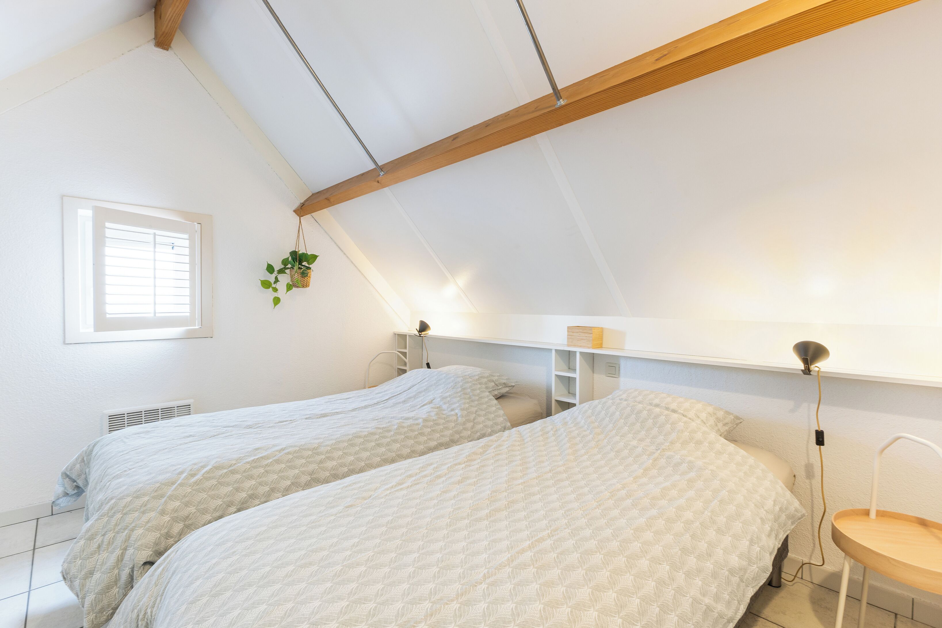 Une chambre avec deux lits, une fenêtre, une plante suspendue et un bureau avec une lampe.
