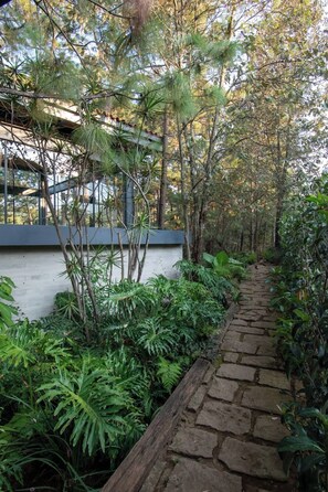 A stone pathway leading through a lush garden with various tropical plants and trees.