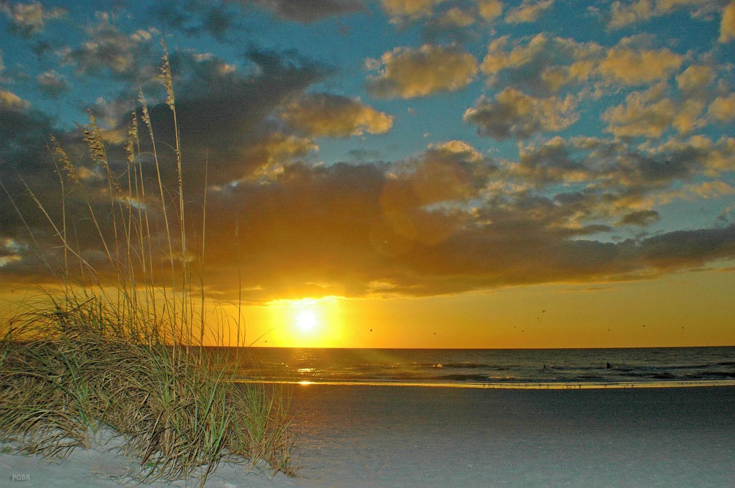 A beach with grass in the foreground and a sunset in the background.