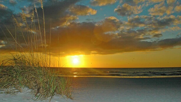 Ein Strand mit Gras im Vordergrund und einem Sonnenuntergang im Hintergrund.