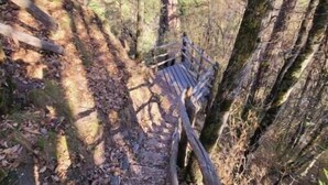 A forested trail with a wooden bridge and a large rock formation in the background.