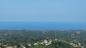 A coastal landscape with scattered houses and dense greenery.