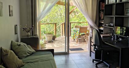 A room in a soothing setting