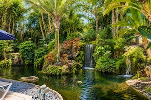A serene garden with a pond, a waterfall, and lush vegetation. - Park Shore Resort - Dream Holiday Stays (Naples)