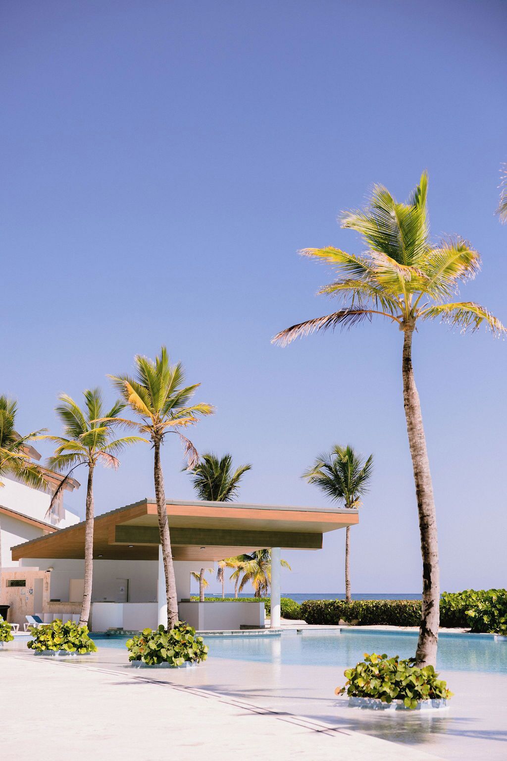A resort with a pool, palm trees, and a building with a modern design.