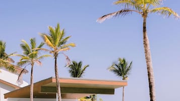 A resort with a pool, palm trees, and a building with a modern design.