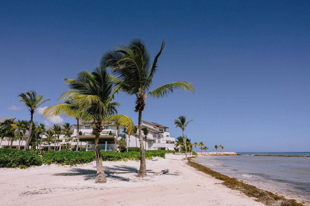 A beach with palm trees, a white building with balconies, and a clear blue sky.
