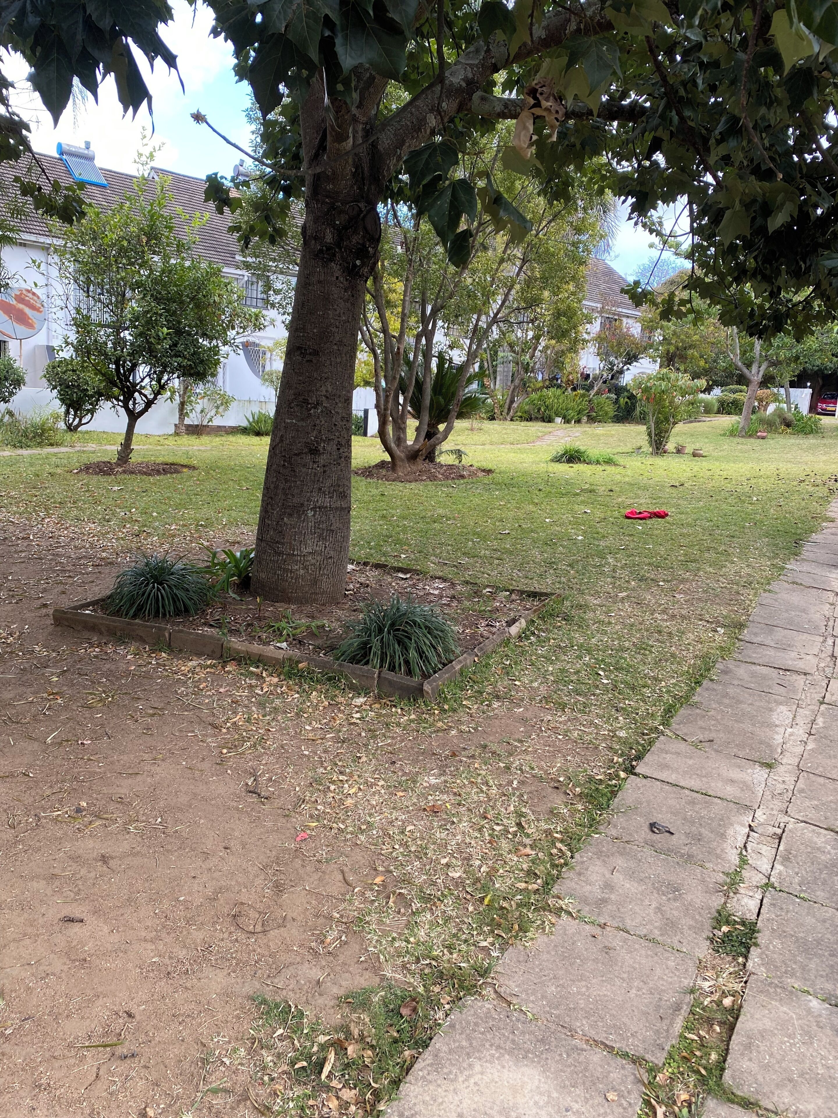 Jardin